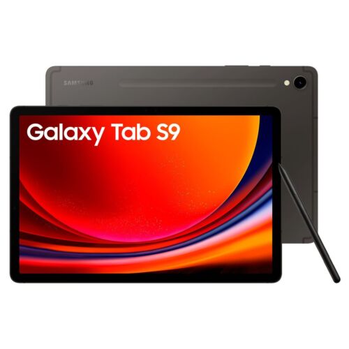 Samsung X710n Galaxy Tab S9 11,0