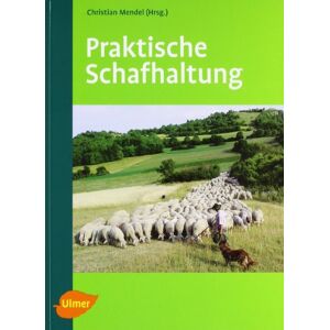 From Getbooks-de <i>(by eBay)</i>